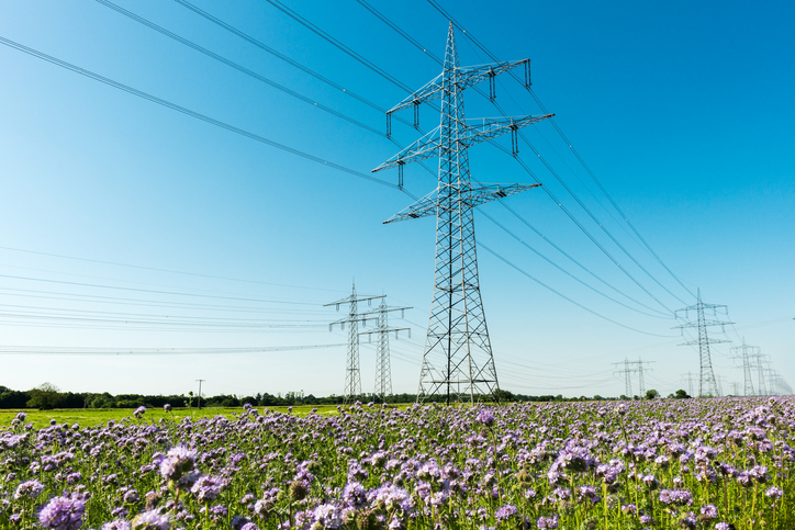 Save with Spring shoulder month pricing on electricity rates in Canton