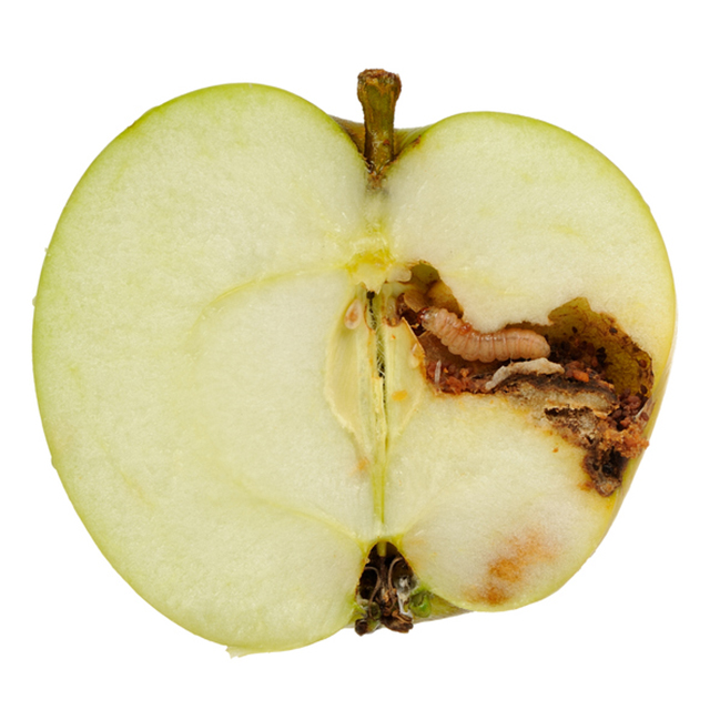 Ohio energy consumers have a better choice than apples to apples for choosing their energy providers