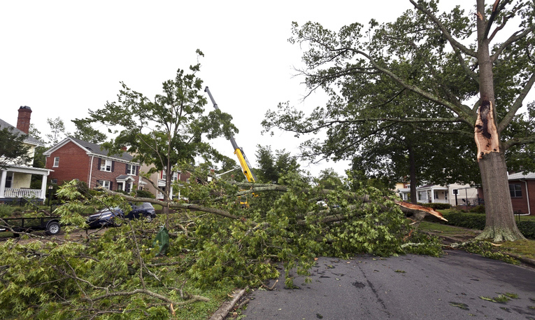 AEP Ohio requested PUCO grant them a rate hike to pay for grid improvments, especially tree trimming. Find out how much it could cost you.
