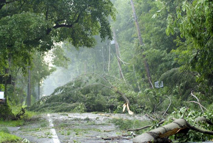 Summer heat, storms, and trees often create trouble for your local grid. Learn what the FirstEnergy Ohio utilities are doing to keep your energy supply safe and reliable.
